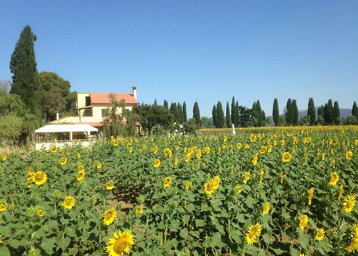 Casolare Casa Ricci Bed & Breakfast Riotorto